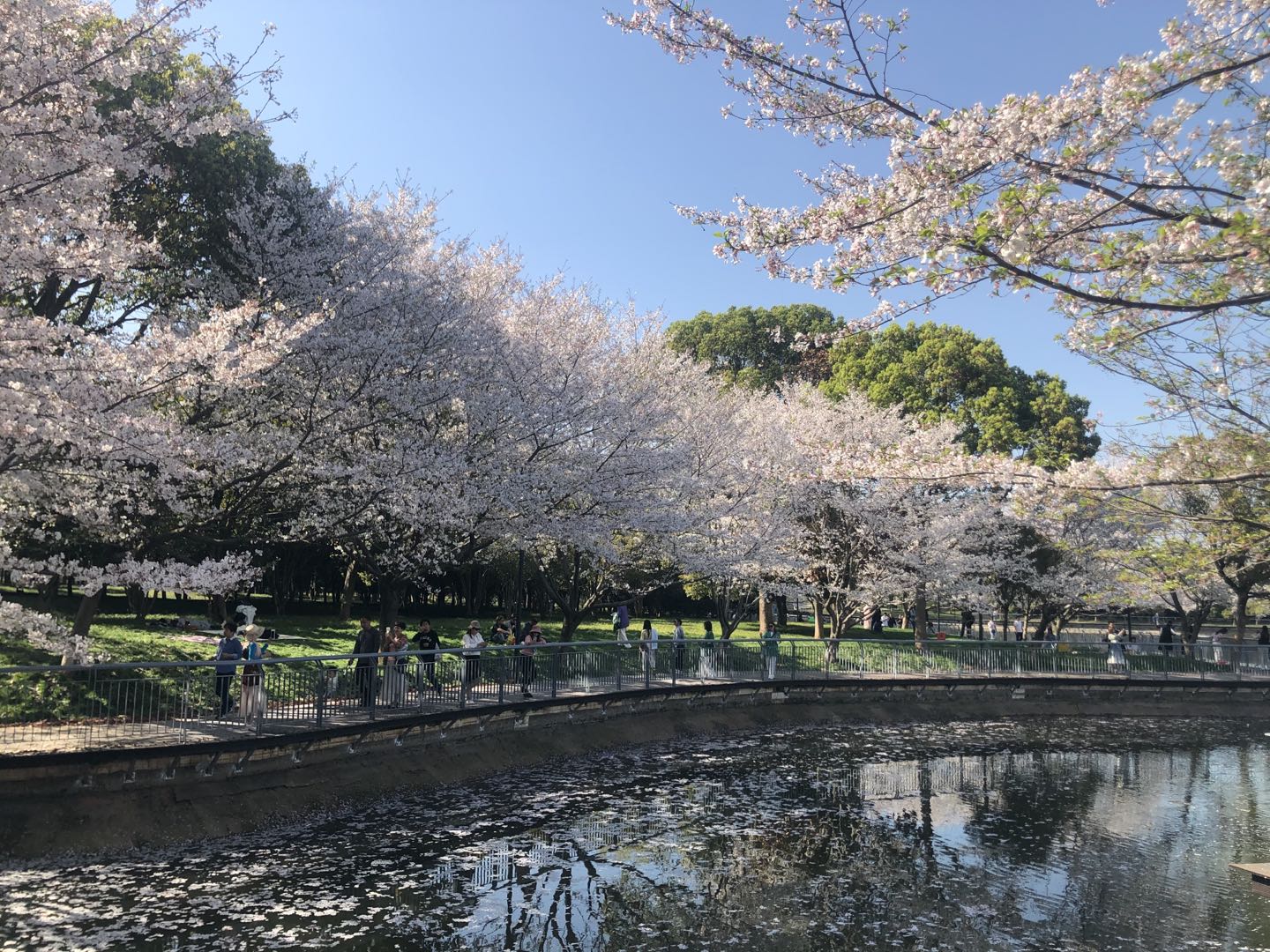 新建或改造街心绿地、林荫停车场等50处以上